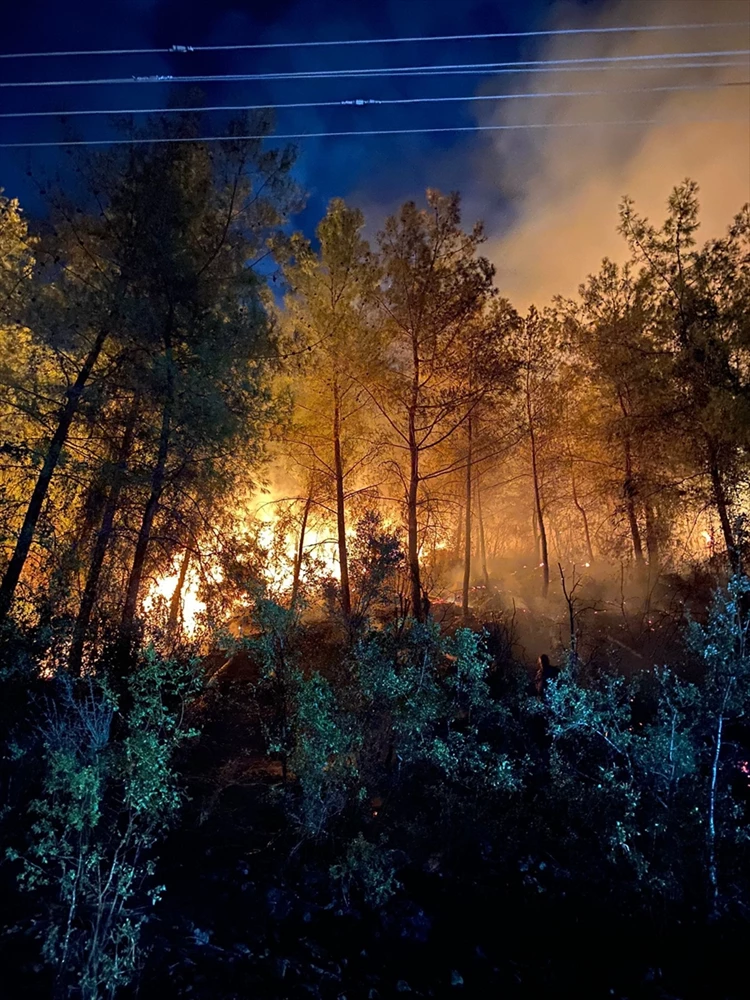 Muğla