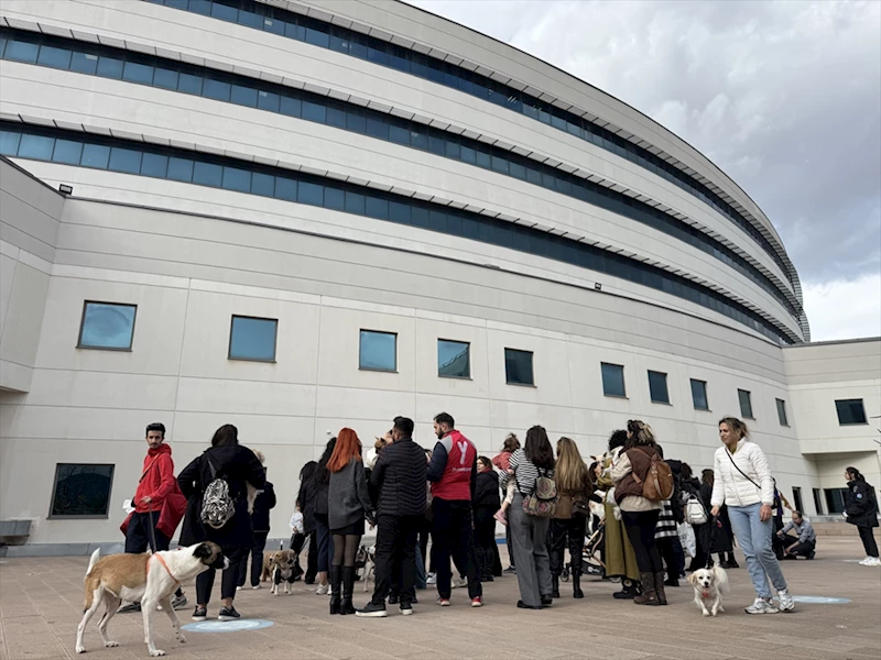 Kanser tedavisi gören hayvansever gence hastane bahçesinde köpeklerle moral verdiler