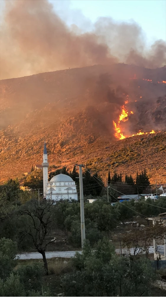 Muğla