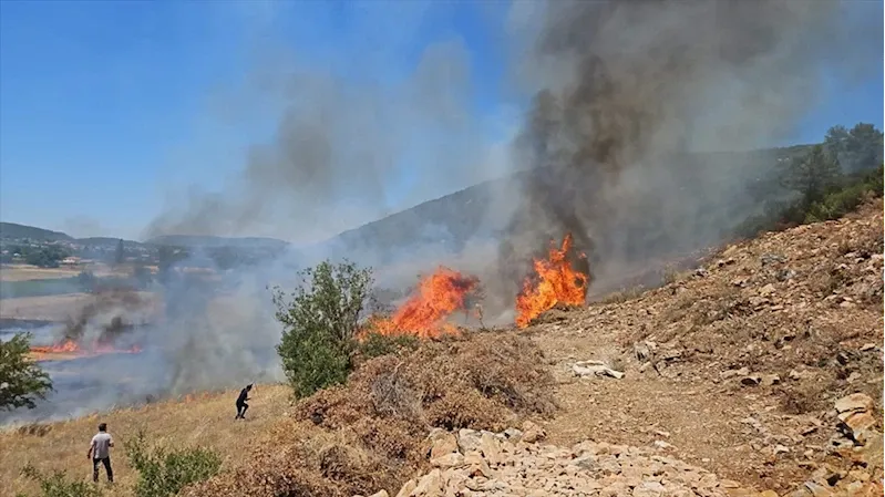 Muğla