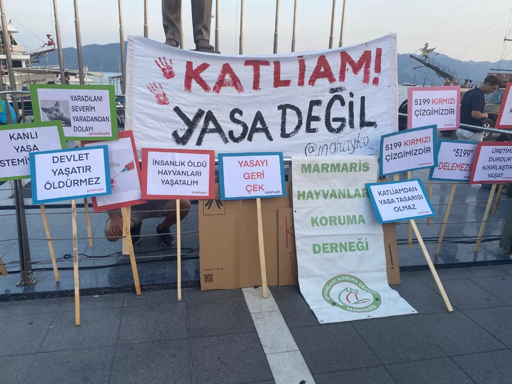 Marmaris’te Kadın Platformu, Sokak Hayvanları Yasasını Protesto Etti