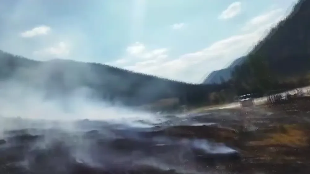 Otluk alanda çıkan yangın ormana sıçramadan söndürüldü